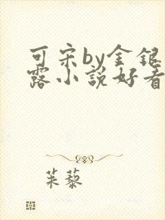 可宋by金银花露小说好看吗封面