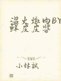 温火炖肉BY海鲜皮皮酱