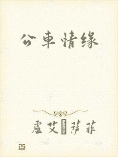 公车情缘