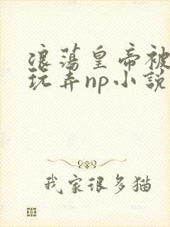 浪荡皇帝被多人玩弄np小说