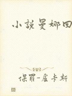 小说曼娜回忆录封面