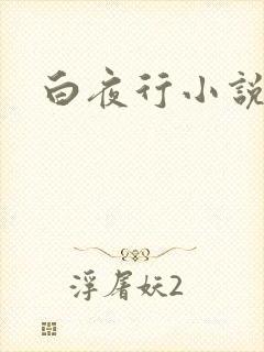 白夜行小说下载