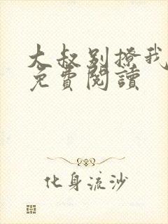 大叔别撩我小说免费阅读