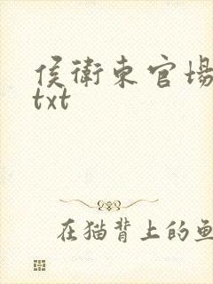 侯卫东官场笔记txt封面