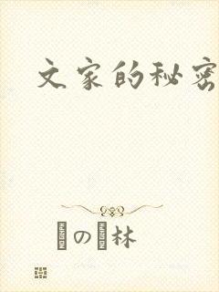 文家的秘密