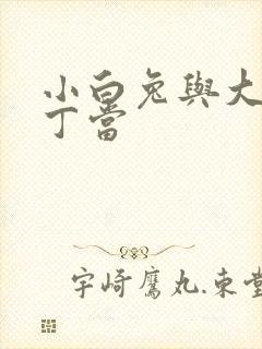 小白兔与大灰狼丁当