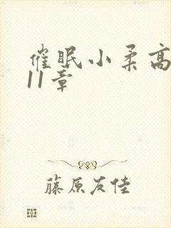 催眠小柔高达第11章