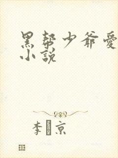 黑帮少爷爱上我小说