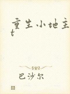 重生小地主txt封面