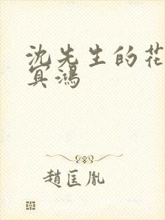 沈先生的花式调冥鸿