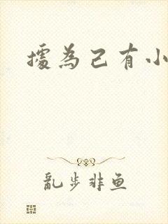 据为己有小说封面