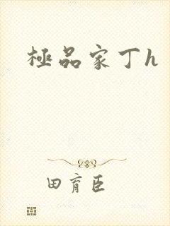 极品家丁h