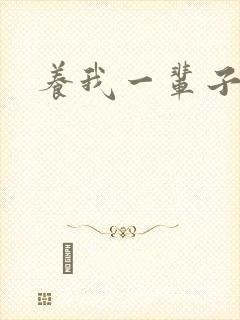 养我一辈子封面