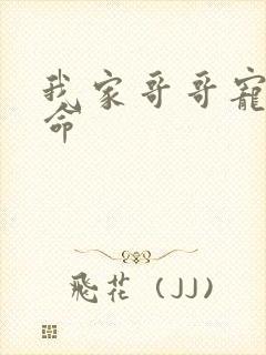 我家哥哥宠妹如命封面