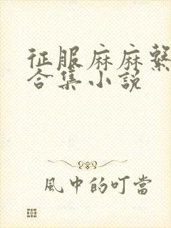 征服麻麻系列大合集小说