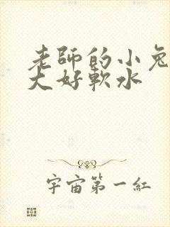 老师的小兔子好大好软水