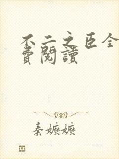 不二之臣全文免费阅读封面