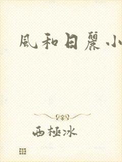 风和日丽小说