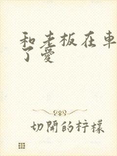 和老板在车里做了爱封面