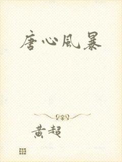 唐心风暴