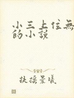 小三上位无三观的小说