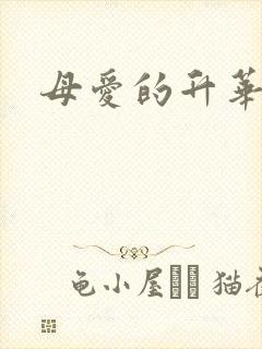 母爱的升华封面