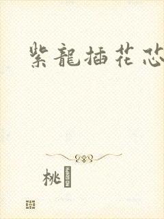 紫龙插花芯封面