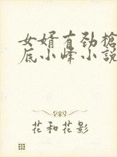 女婿有劲枪枪到底小峰小说