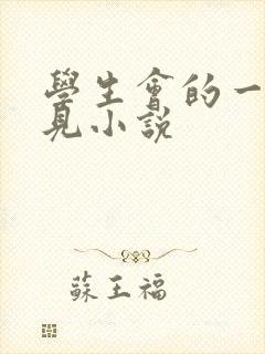 学生会的一己之见小说