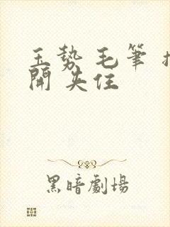 玉势 毛笔 撑开 夹住