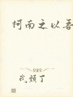 柯南之以吾之名封面