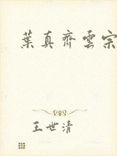 叶真齐云宗免费封面