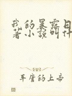 我的暴露日记原著小说叫什么