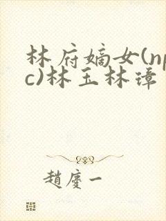林府嫡女(npc)林玉林璋