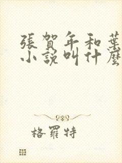 张贺年和叶繁姿小说叫什么名字封面