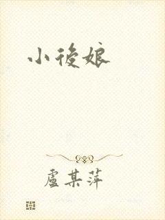 小后娘封面