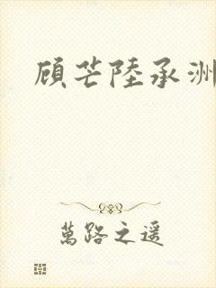 顾芒陆承洲封面