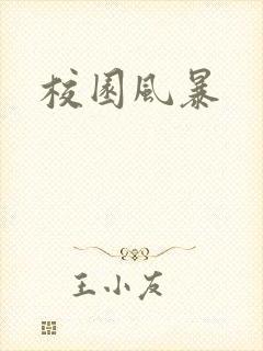 校园风暴