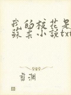 我的校花是福姬苏柔小说txt封面