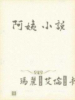 阿姨 小说