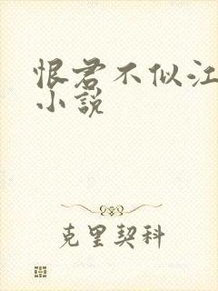 恨君不似江楼月小说