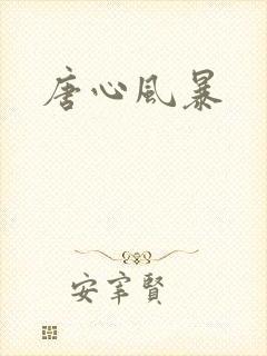 唐心风暴
