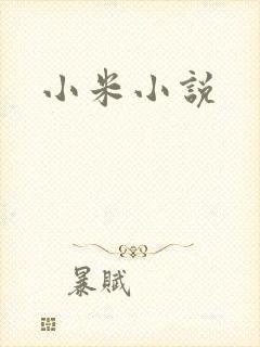 小米小说