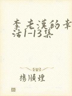 李老汉的幸福生活1-13集