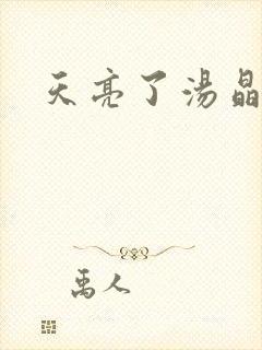 天亮了汤晶锦封面