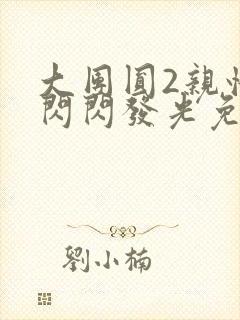 大团圆2亲情会闪闪发光免费封面