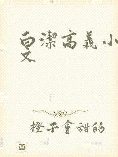 白洁高义小说全文