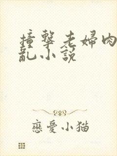 撞击老妇肉体之乱小说