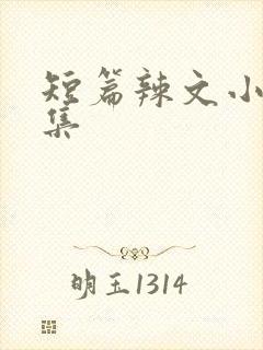 短篇辣文小说合集