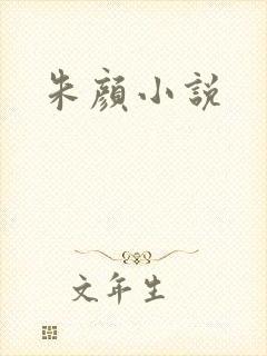 朱颜小说